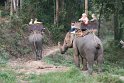 Day 9 - Chiang Mai - Elephant Camp 088